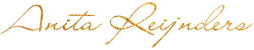 Logo anita goud